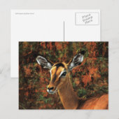 Herfst Impala fantasy art Briefkaart (Voorkant / Achterkant)