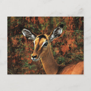 Herfst Impala fantasy art Briefkaart