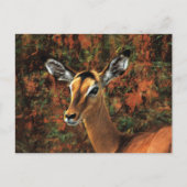 Herfst Impala fantasy art Briefkaart (Voorkant)
