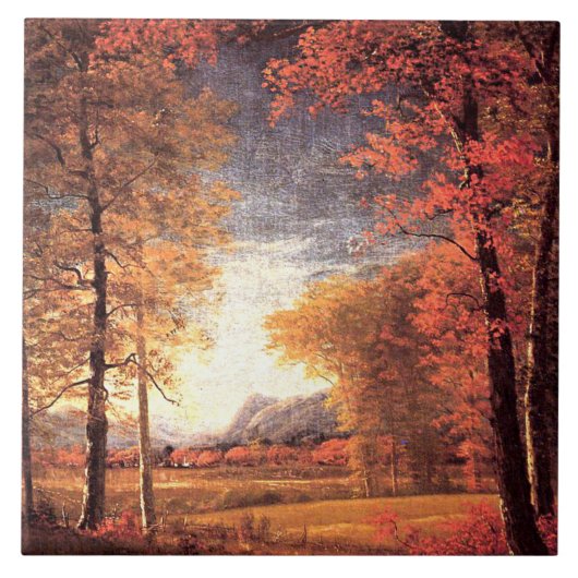 Herfst in Amerika, Oneida County, New York, Tegeltje (Voorkant)