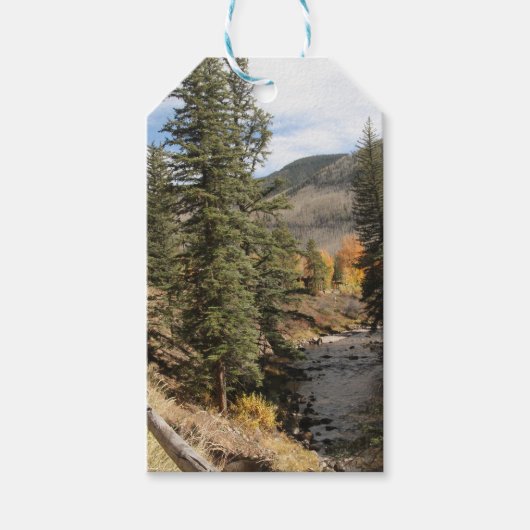 Herfst in Aspen Cadeaulabel (Voorkant)