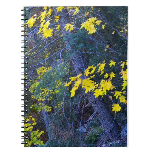 Herfst in Bergen 6 Notitieboek (Voorkant)