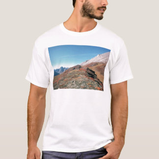 HERFST IN BERGEN SCHILDERACHTIG T-SHIRT