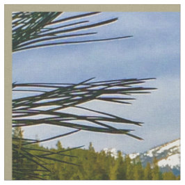 Herfst in bergen stof