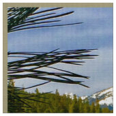 Herfst in bergen stof (Close Up)