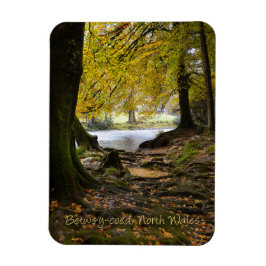 Herfst in Betws-y-coed, Noord-Wales Magneet