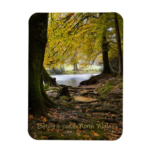 Herfst in Betws-y-coed, Noord-Wales Magneet (Verticaal)