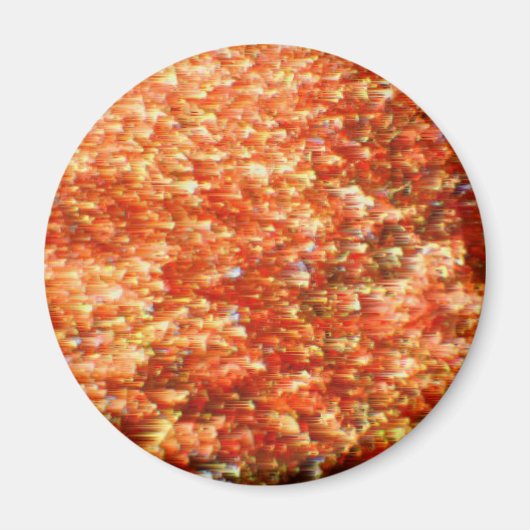 Herfst in beweging magneet (Voorkant)