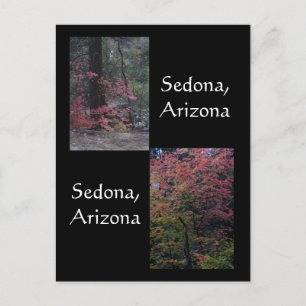 Herfst in bloom, Sedona Arizona Briefkaart