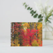 Herfst in Canada. Feestdagenkaart (Staand voorkant)