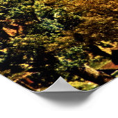 Herfst in Carson Valley Poster (Hoek)