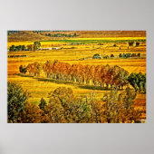Herfst in Carson Valley Poster (Voorkant)