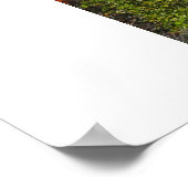 HERFST IN CENTRAAL PARK NYC-poster voor fotografie Poster (Hoek)