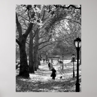 Herfst in Central Park 06 25 Poster