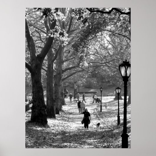 Herfst in Central Park 06 25 Poster (Voorkant)