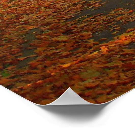 Herfst in Central Park 06 27 Poster (Hoek)