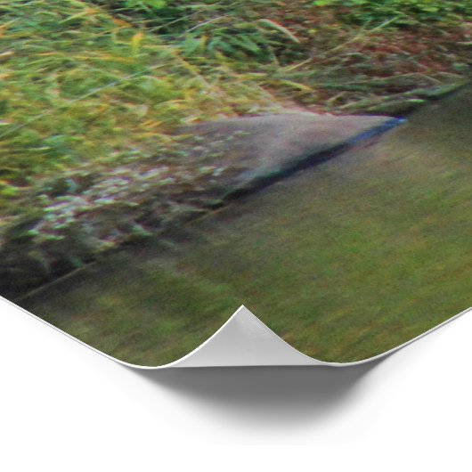 Herfst in Central Park: Boaters door Bow Bridge #0 Poster (Hoek)