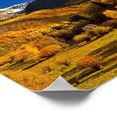 Herfst in Colorado Poster (Hoek)