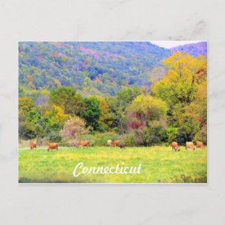 Herfst in CT Briefkaart