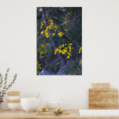 Herfst in de bergen 4 poster (Keuken)