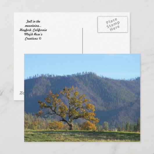 Herfst in de bergen... briefkaart (Voorkant / Achterkant)
