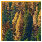 Herfst in de bergen stof (Close Up)