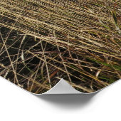 Herfst in de Bieszczady bergen Poster (Hoek)