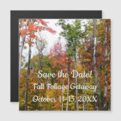 Herfst in de Forest Colorful Autumn Photography (Voorkant / Achterkant)