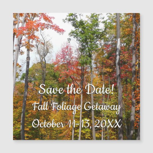 Herfst in de Forest Colorful Autumn Photography (Voorkant)