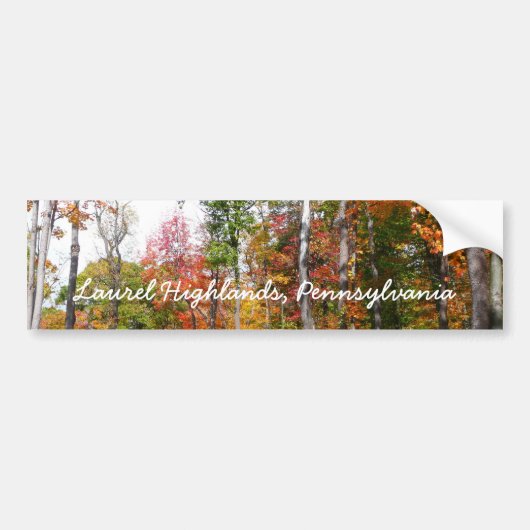 Herfst in de Forest Colorful Autumn Photography Bumpersticker (Voorkant)