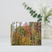 Herfst in de Forest Colorful Autumn Photography Kaart (Staand voorkant)