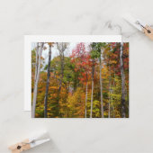 Herfst in de Forest Colorful Autumn Photography Kaart (Voorkant / Achterkant in situ)