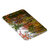 Herfst in de Forest Colorful Autumn Photography Magneet (Rechterzijde)