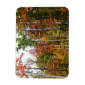 Herfst in de Forest Colorful Autumn Photography Magneet (Verticaal)