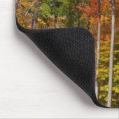 Herfst in de Forest Colorful Autumn Photography Muismat (Hoek)