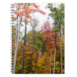 Herfst in de Forest Colorful Autumn Photography Notitieboek