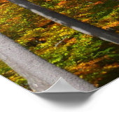 Herfst in de Forest Colorful Autumn Photography Poster (Hoek)