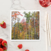 Herfst in de Forest Colorful Autumn Photography Servet (Insitu)