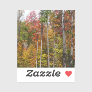 Herfst in de Forest Colorful Autumn Photography Sticker