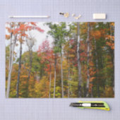 Herfst in de Forest Colorful Autumn Photography Tissuepapier (Craft)