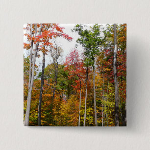 Herfst in de Forest Colorful Autumn Photography Vierkante Button 5,1 Cm
