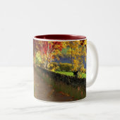 Herfst in de Glen Mug Tweekleurige Koffiemok (Voorkant rechts)
