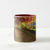 Herfst in de Glen Mug Tweekleurige Koffiemok (Center)