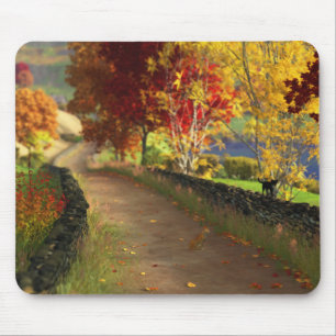 Herfst in de Glen Muismat