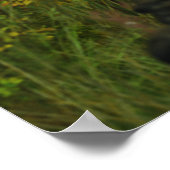 Herfst in de Glen Print (Hoek)