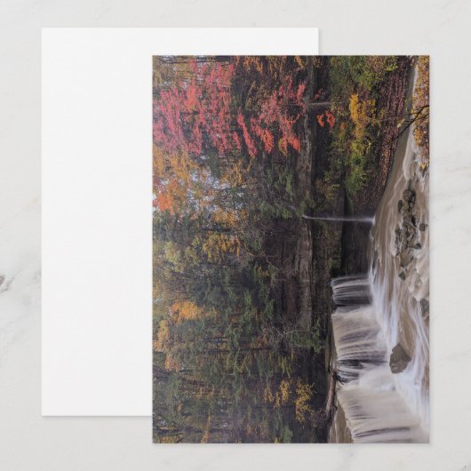 Herfst in de Grote Herfsten van Tinkers Creek Feestdagenkaart (Voorkant / Achterkant)