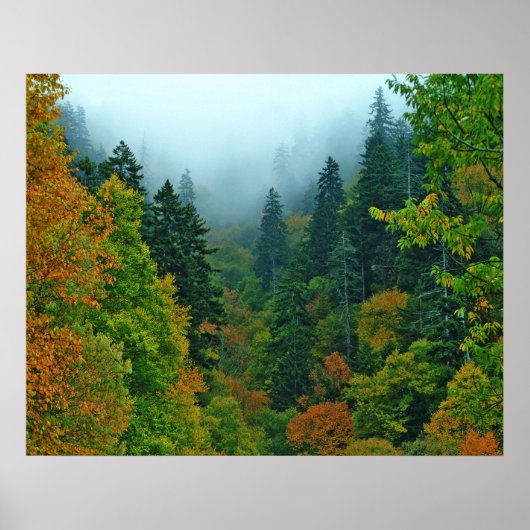 herfst in de mokies poster (Voorkant)