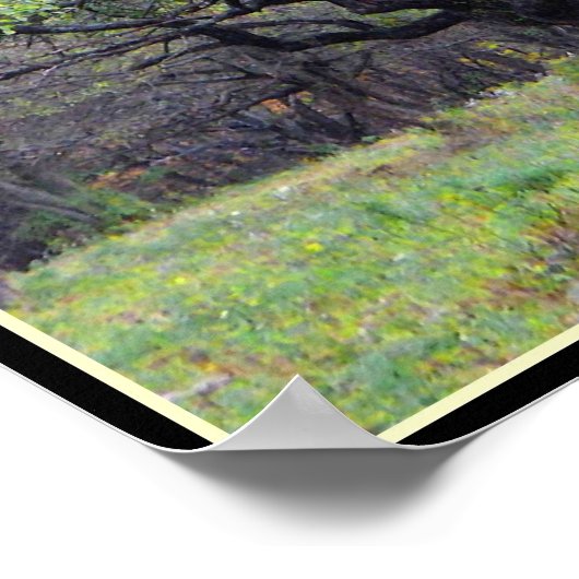 Herfst in de Orchard van de paarden Poster (Hoek)