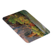 Herfst in de rivier de Virgin, nabij de poort naar Magneet (Rechterzijde)