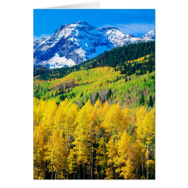 Herfst in de Rockies (Voorkant)